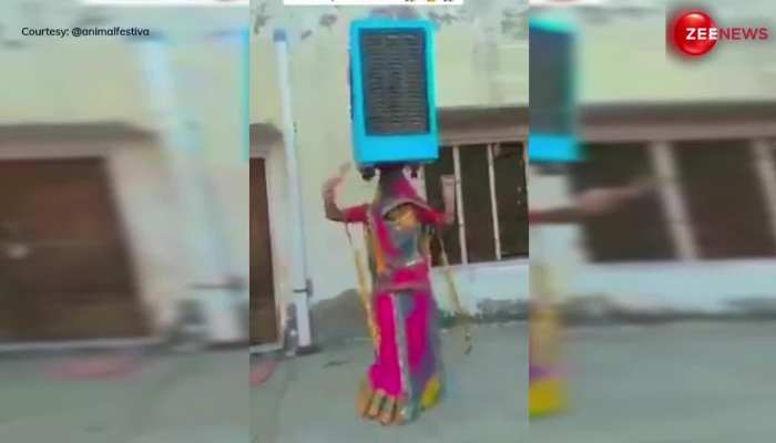 Bhabhi Cooler Dance: गांव की भाभी ने सिर पर रखा कूलर, फिर किया ऐसा खतरनाक डांस, देख बोले लोग- कहां से आता इतना टैलेंट