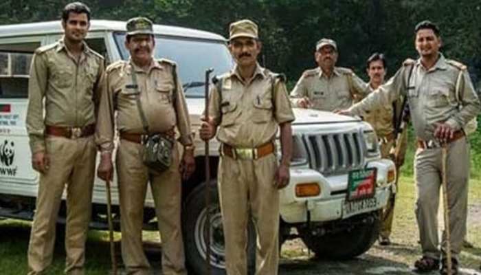 Chhattisgarh Forest Guard Recruitment: 40 दिनों तक चलेगा फिजिकल टेस्ट