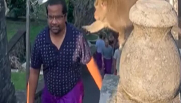 Video: ବ୍ୟାଙ୍କିଙ୍କୁ ଚାପୁଡ଼ା ମାରି ଚଷମା ନେଇଗଲା ମାଙ୍କଡ, ଏପରି ଚକମା ଦେଇ ଫେରାଇ ଆଣିଲେ ମହିଳା https://english.cdn.zeenews.com/static/apprun/fallbackimages/hindi800x400.svg