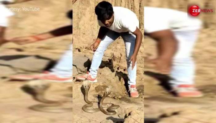 सपेरे के साथ King Cobra कपल को देख थप्पड़ मारने लगा युवक, लेकिन फिर अचानक हुआ कुछ ऐसा... https://english.cdn.zeenews.com/static/apprun/fallbackimages/hindi800x400.svg