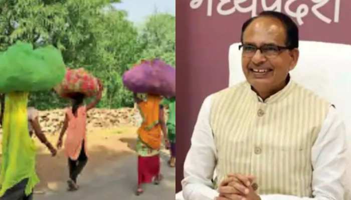 तेंदूपत्ता तोड़ने वालों को अब चप्पल की जगह सैंडल देगी शिवराज सरकार