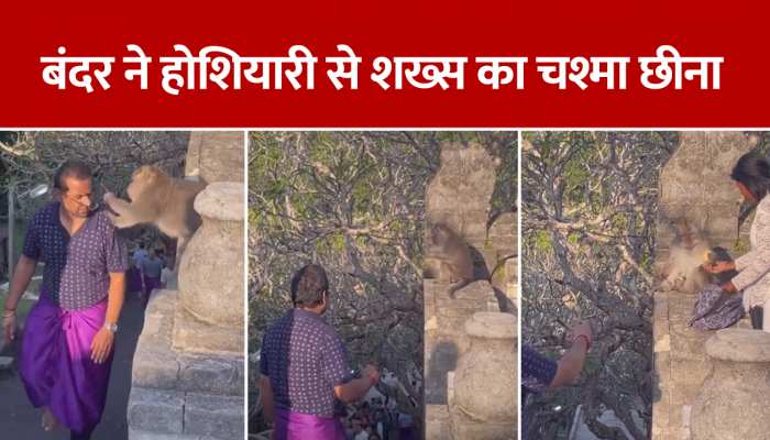 Video: बंदर ने की चालाक बनने की कोशिश, चश्मा छीनकर बन रहा था हीरो, महिला की जाल ऐसा फंसा कि कर बैठा बेवकूफी https://english.cdn.zeenews.com/static/apprun/fallbackimages/hindi800x400.svg