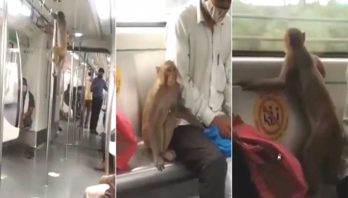 दिल्ली मेट्रो का एक और Video हुआ वायरल, इस बार ऐसी हरकतें करता मिला बंदर