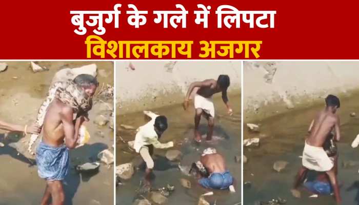 Python Attack Video:विशालकाय अजगर बुजुर्ग के गले में लिपटा, छुड़ाने में लोगों के हालत खराब https://english.cdn.zeenews.com/static/apprun/fallbackimages/hindi800x400.svg
