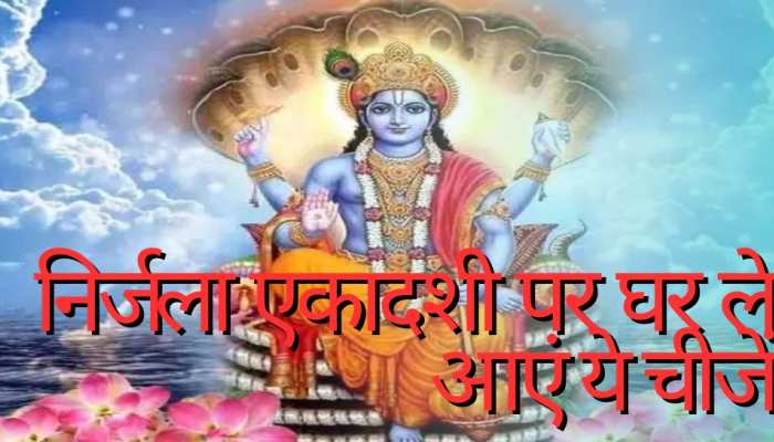 Nirjala Ekadashi 2023: निर्जला एकादशी पर ले आएं ये शुभ चीजें, मां लक्ष्मी की कृपा के साथ बनी रहेगी बरकत 