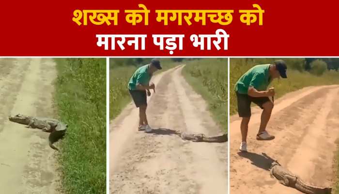 Viral Video: टूरिस्ट मगरमच्छ पर चाकू से करना चाहता था हमला, शख्स को मगरमच्छ को मारना पड़ा भारी, देखें वीडियो https://english.cdn.zeenews.com/static/apprun/fallbackimages/hindi800x400.svg
