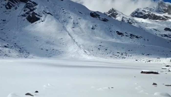असमय बर्फबारी हिमालय की जड़ी बूटियों पर विलुप्त होने का खतरा, वैज्ञानिकों का दावा