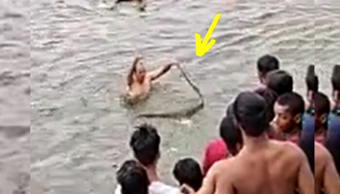 Snake Video : एनिकट में सैंकड़ों लोग ले रहे थे पानी का मजा, अचानक आ गया सांप फिर जो हुआ... https://english.cdn.zeenews.com/static/apprun/fallbackimages/hindi800x400.svg