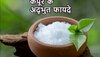 Camphor Benefits: सिर्फ पूजा के लिए ही नहीं, शरीर की इन परेशानियों को भी दूर करता है 'कपूर' 