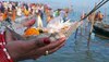 Ganga Dussehra: गंगा दशहरा कल, गंगा स्नान के साथ इन चीजों का करें दान, पापों से मिलेगी मुक्ति!