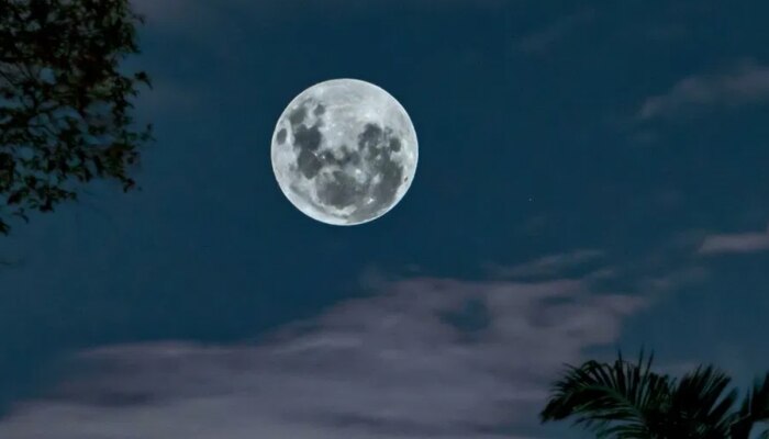 3 या 4 जून कब है Jyeshtha Purnima, जिस दिन रखा जाएगा Vat Savitri Vrat, जानें डेट