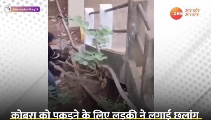 Girl Catch King Cobra: लड़की ने नाली में हाथ डालकर निकाले दो-दो किंग कोबरा सांप, देखने वाले भी भौंचक्के रह गए https://english.cdn.zeenews.com/static/apprun/fallbackimages/hindi800x400.svg