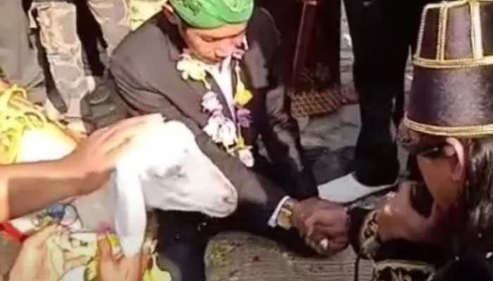 अधेड़ उम्र के शख्स ने बकरी से की शादी,इस अनोखी शादी के बारे में जानकर रह जाएंगे हैरान