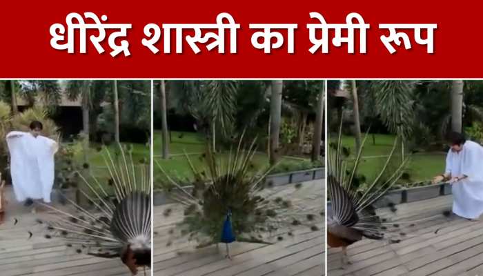 Bageshwar Dham: मोर के प्रेम में रमे धीरेंद्र शास्त्री, आज तक किसी ने नहीं देखा होगा ऐसा रूप https://english.cdn.zeenews.com/static/apprun/fallbackimages/hindi800x400.svg