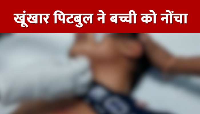 खूंखार पिटबुल ने मासूम बच्ची को नोंचा, हाथ-पैर सहित गले में गड़ाए नुकीले दांत:Watch Video https://english.cdn.zeenews.com/static/apprun/fallbackimages/hindi800x400.svg