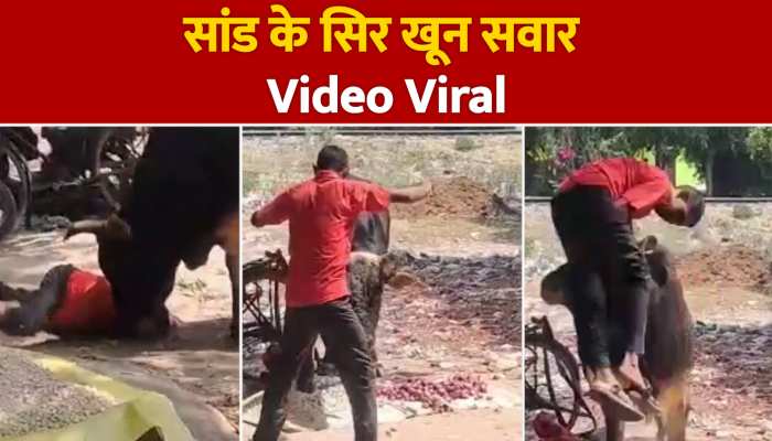 Sambhal: सांड ने दुकानदार को हवा में उछाला फिर जमीन पर रौंदा, दिल-दहला देने वाला वीडियो आया सामने https://english.cdn.zeenews.com/static/apprun/fallbackimages/hindi800x400.svg