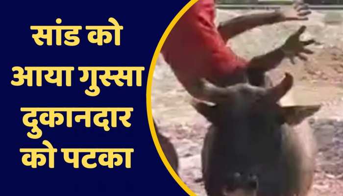 सांड ने दुकानदार पर किया खतरनाक हमला, शख्स की हालत गंभीर https://english.cdn.zeenews.com/static/apprun/fallbackimages/hindi800x400.svg