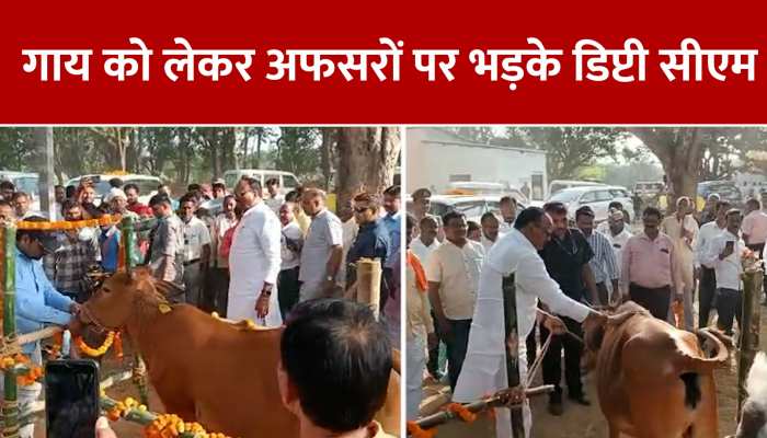 Video: गाय को लेकर अफसरों पर गरम हुए डिप्टी सीएम बृजेश पाठक https://english.cdn.zeenews.com/static/apprun/fallbackimages/hindi800x400.svg