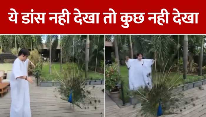 Baba Bageshwar dham wale new viral video: इंसान ही नहीं बल्कि पशु-पक्षी भी धीरेंद्र शास्त्री के दिवाने https://english.cdn.zeenews.com/static/apprun/fallbackimages/hindi800x400.svg