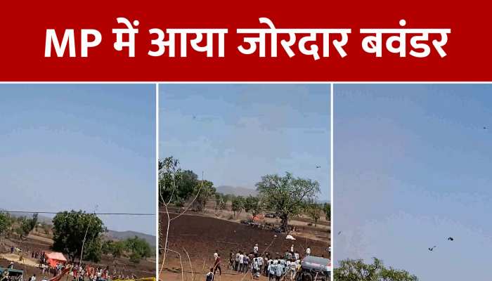 MP: एक बार फिर आया जोरदार बवंडर, मची भगदड़, उड़ गया सबकुछ https://english.cdn.zeenews.com/static/apprun/fallbackimages/hindi800x400.svg