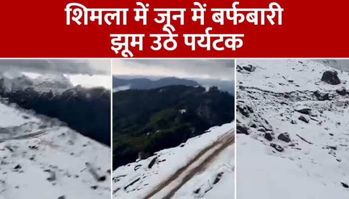 Shimla Snowfall Video : शिमला की चांशल घाटी में जून में बर्फबारी, पर्यटकों की भीड़ उमड़ी https://english.cdn.zeenews.com/static/apprun/fallbackimages/hindi800x400.svg
