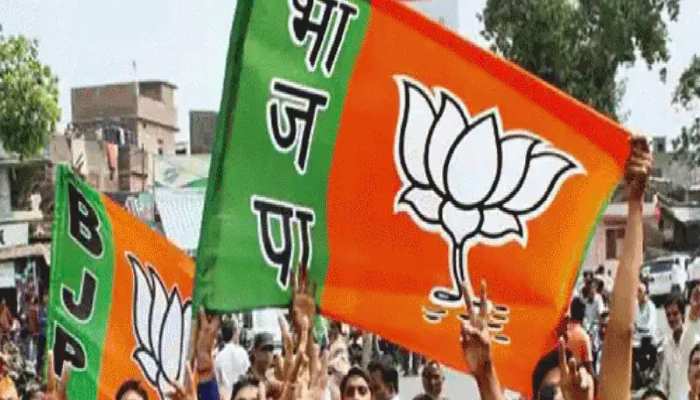 दिल्ली के सभी सात लोकसभा क्षेत्रों में होगी BJP की रैली, पार्टी फूकेगी चुनावी बिगुल