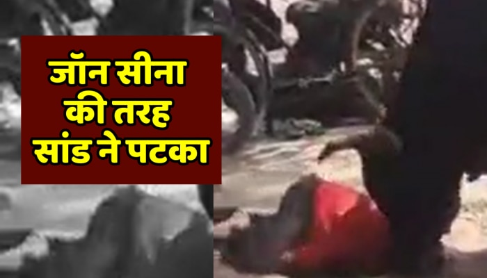Animal Video : सांड ने WWE वाले जॉन सीना की तरह युवक को उठाकर पटका, देखिए वीडियो https://english.cdn.zeenews.com/static/apprun/fallbackimages/hindi800x400.svg