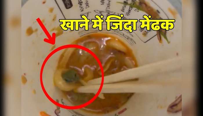 Viral video : शख्स के खाने से निकला जिंदा मेंढक , वीडियो वायरल होते ही सोशल मीडिया पर मचा हड़कंप https://english.cdn.zeenews.com/static/apprun/fallbackimages/hindi800x400.svg