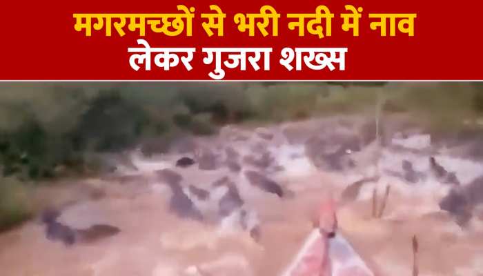 Viral Video:जब मगरमच्छों से भरी नदी में नाव लेकर गुजरा शख्स, हो गया कुछ ऐसा https://english.cdn.zeenews.com/static/apprun/fallbackimages/hindi800x400.svg