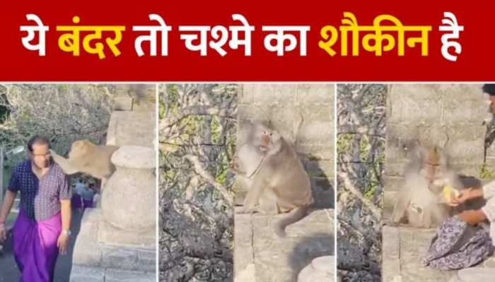 Monkey Viral Video: मंदिर में बंदर ने की बदमाशी, जमकर चली श्रद्धालु से चश्मे की झपटा झपटी https://english.cdn.zeenews.com/static/apprun/fallbackimages/hindi800x400.svg