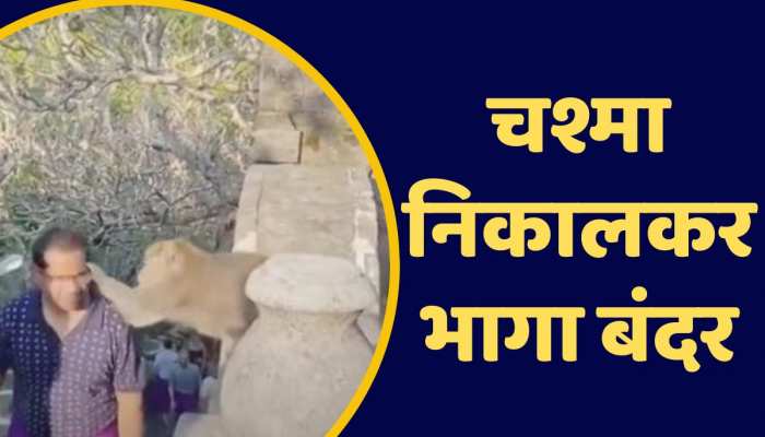 Viral Video:श्रद्धालु के आंखों से चश्मा निकालकर भागा बंदर, वापस देने के लिए करने लगा सौदेबाजी https://english.cdn.zeenews.com/static/apprun/fallbackimages/hindi800x400.svg