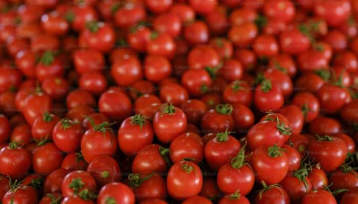 Tomato Benefits:चेहरे से धाग-धब्बों को दूर करने के लिए बस करें ये काम, चमकेगी स्किन!