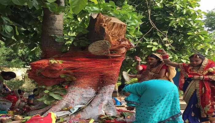 वट सावित्री पूर्णिमा 3 जून को, स्त्रियों के अखंड सौभाग्य के लिए बन रहा विशेष योग 