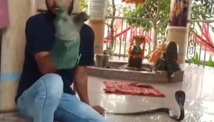King Cobra : बच्ची की आवाज सुन दौड़ी मां, अंदर मिला काला किंग कोबरा मासूम को काटा https://english.cdn.zeenews.com/static/apprun/fallbackimages/hindi800x400.svg