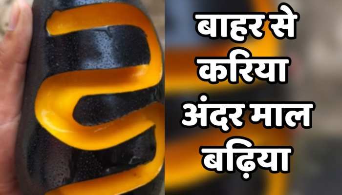 Mango : कोयले जैसा काला आम, अंदर से उतना ही रसीला, वीडियो देख मन करेगा अभी चूस लें https://english.cdn.zeenews.com/static/apprun/fallbackimages/hindi800x400.svg