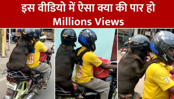 Dog Viral Video: कैमरे में कैद हुआ अब तक का सबसे मजेदार वीडियो, डॉगी के दीवाने हो गए यूजर्स https://english.cdn.zeenews.com/static/apprun/fallbackimages/hindi800x400.svg