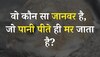 Quiz: बताएं आखिर ऐसा कौन सा जानवर है, जो पानी पीते ही मर जाता है?