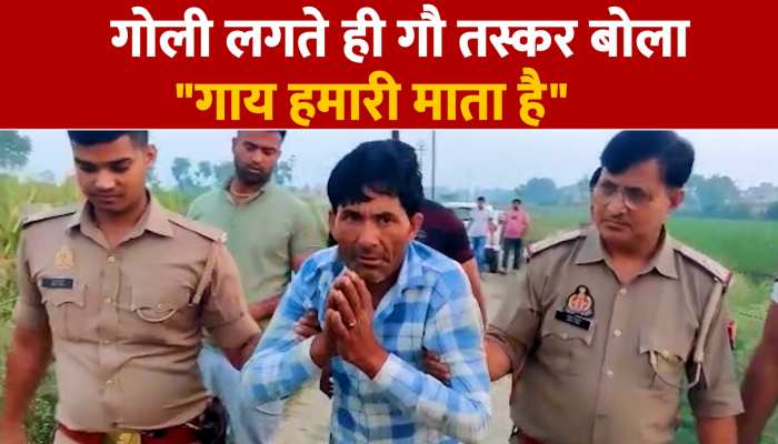 गौ तस्कर को पुलिस मुठभेड़ में लगी गोली तो हाथ जोड़कर बोला- गाय हमारी माता, अब नहीं करूंगा हत्या https://english.cdn.zeenews.com/static/apprun/fallbackimages/hindi800x400.svg