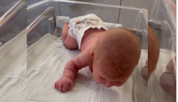 Viral Video : गजब! 3 दिन की बच्ची चलने की कोशिश करने लगी, वीडियो देख आंखों पर नहीं होगा यकीन https://english.cdn.zeenews.com/static/apprun/fallbackimages/hindi800x400.svg