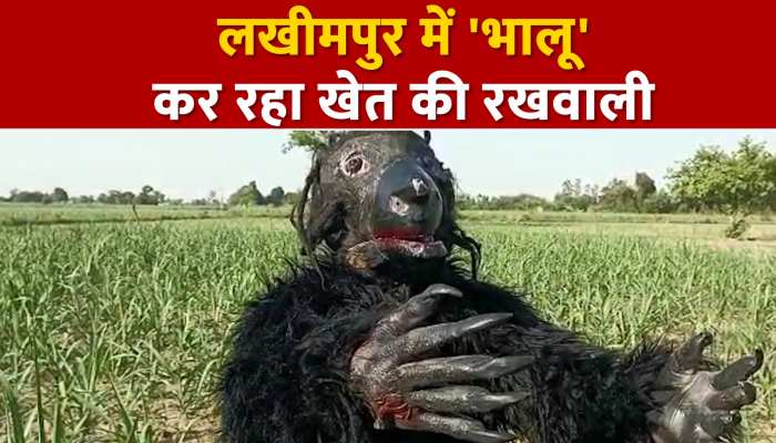 Lakhimpur kheri: फसल को बंदरों और आवारा जानवरों से बचाने के लिए किसान बना भालू, देखें वीडियो https://english.cdn.zeenews.com/static/apprun/fallbackimages/hindi800x400.svg
