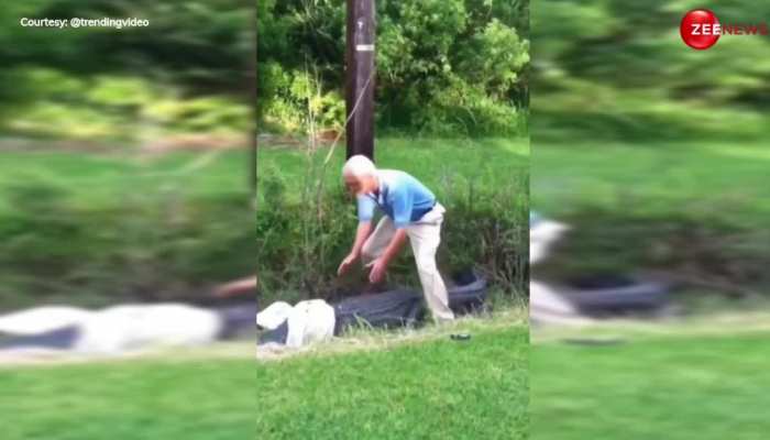 Crocodile Video: बूढ़े दादा जी ने मगरमच्छ के साथ की ऐसी हरकत, पड़ गया महंगा, देख कांप जाएगी रूह