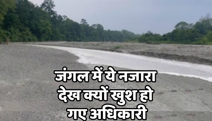 Viral Video : जंगल का ये नजारा आपने पहले कभी नहीं देखा होगा, अधिकारी ने वीडियो किया शेयर https://english.cdn.zeenews.com/static/apprun/fallbackimages/hindi800x400.svg