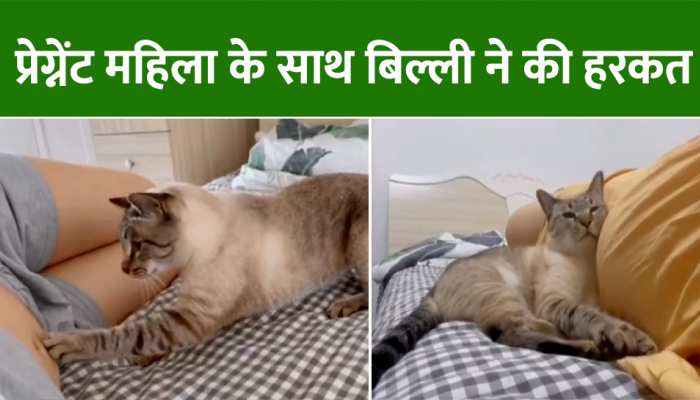Watch: प्रेग्नेंट महिला के साथ बिल्ली ने की हरकत, वायरल हो गया Video https://english.cdn.zeenews.com/static/apprun/fallbackimages/hindi800x400.svg