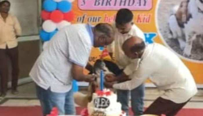 पालतू कुत्‍ते के जन्‍मदिन पर शाही पार्टी, 11 किलो का केक काटा, मेहमानों को ये GIFT 