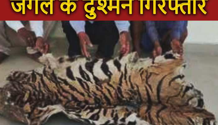 भोपाल में बड़ी कार्रवाई! 8 शिकारियों से भारी मात्र से जब्त किए गए बाघ-तेंदुए के अंग