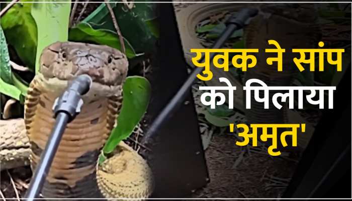 Snake Viral Video: गर्मी के मारे प्यास से तड़प रहे सांप को युवक ने पानी पिला पेश की इंसानियत की मिसाल https://english.cdn.zeenews.com/static/apprun/fallbackimages/hindi800x400.svg