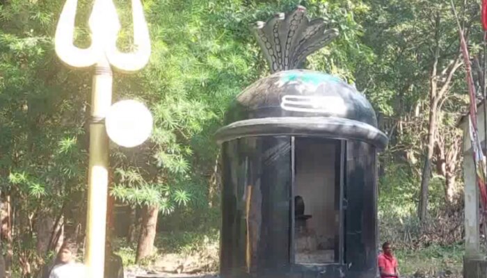 प्राकृतिक सौंदर्य से भरपूर है मध्यप्रदेश का ये पिकनिक स्पॉट, पूरी दुनिया में है फेमस