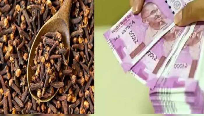 लौंग के टोटके खोल देंगे किस्मत का द्वार, आर्थिक तंगी चल रही है तो जरूर करें इस्तेमाल