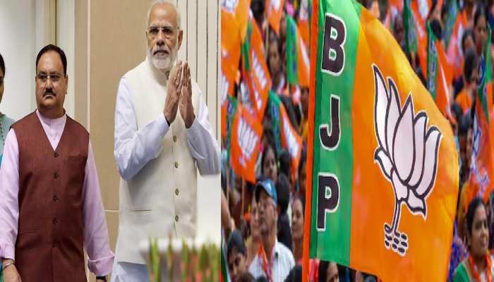 बिहार में 32 सीट जीतने का दावा करनेवाली भाजपा, 8 सीट पर कैसे करेगी सहयोगियों को सेट?