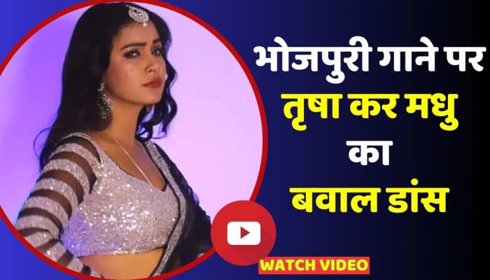 भोजपुरी गाने पर Trisha Kar Madhu ने अपने बोल्ड अंदाज से फैंस को किया मदहोश, वीडियो वायरल https://english.cdn.zeenews.com/static/apprun/fallbackimages/hindi800x400.svg